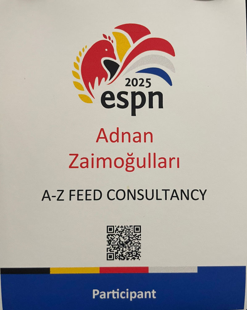 espn-fair-a-z-feed-2